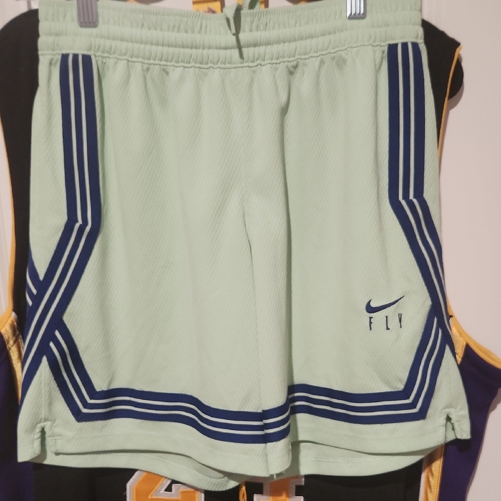 Nike Mint Green Shorts with Navy Stripes